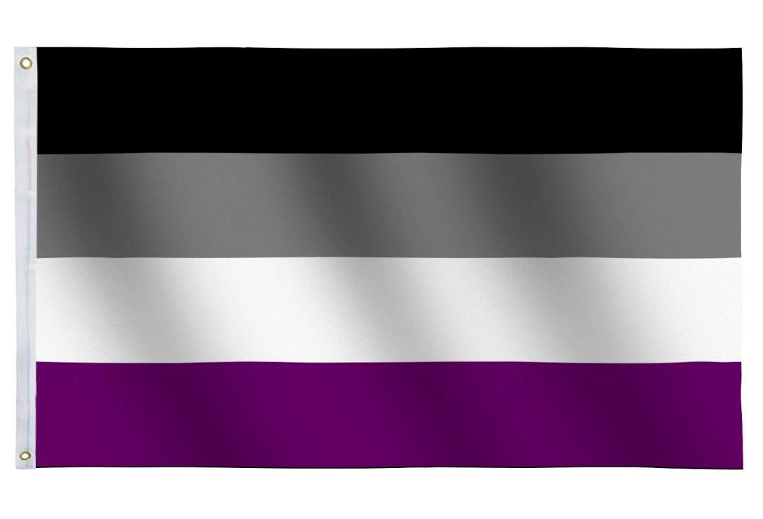 Large Asexual Pride Flag