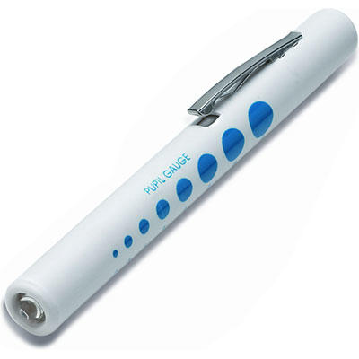 Disposable Pen Torch