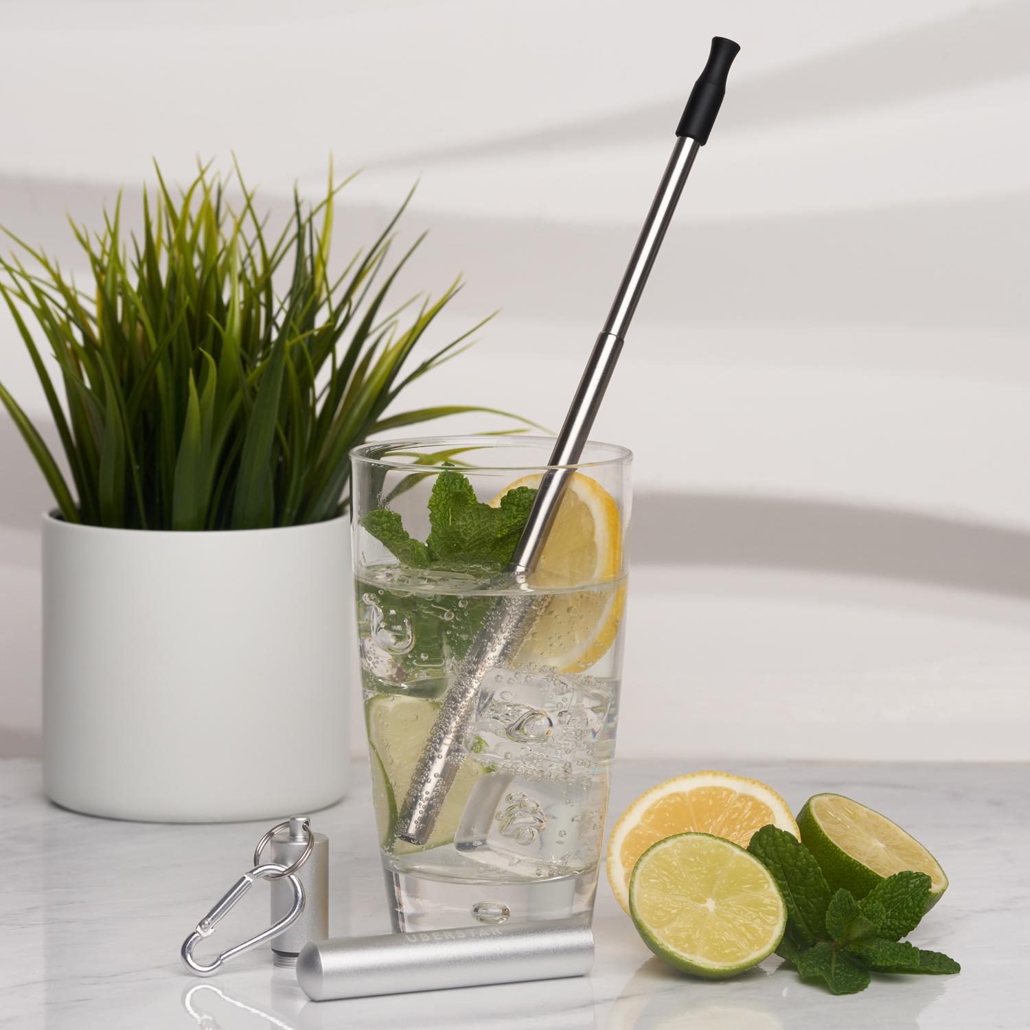 Uberstar Collapsible Travel Stainless Steel Straw - Silver