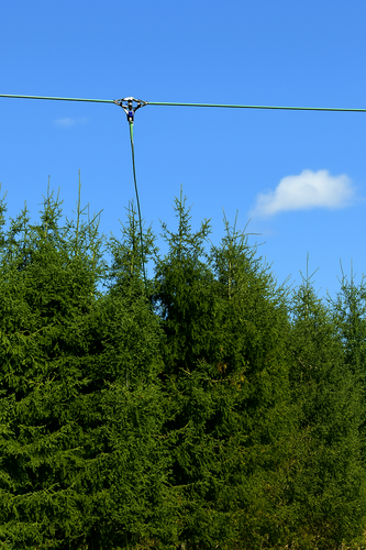 78m Windom wire antenna suspended horizontally above evergreen trees under a clear blue sky, designed for 160m to 10m amateur radio bands with 1000W power handling