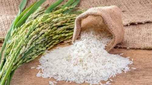 Andhra Sona Masoori Rice- Medium grain, slender rice traditionally consumed in South India