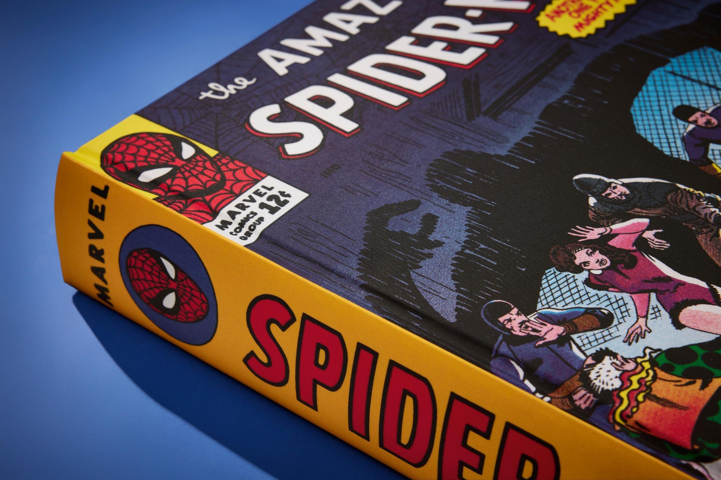 Marvel Comics Library. Spider-Man. Vol. 2. 1965–1966, close up of front cover