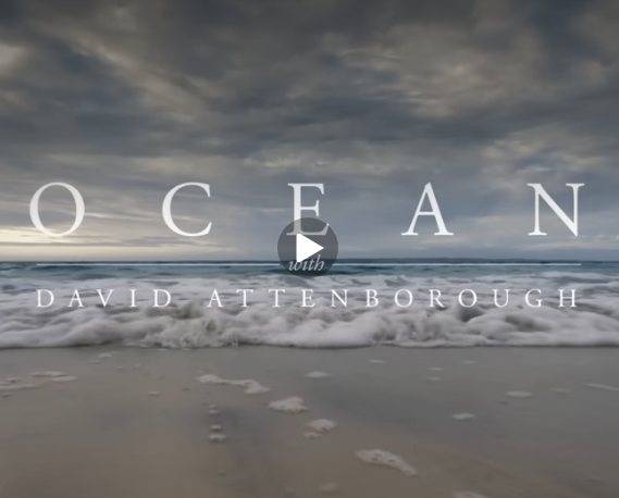 Pinch but no punch, Beltane and beer means the Bank Hols here.. David's Ocean on show and other stuff.