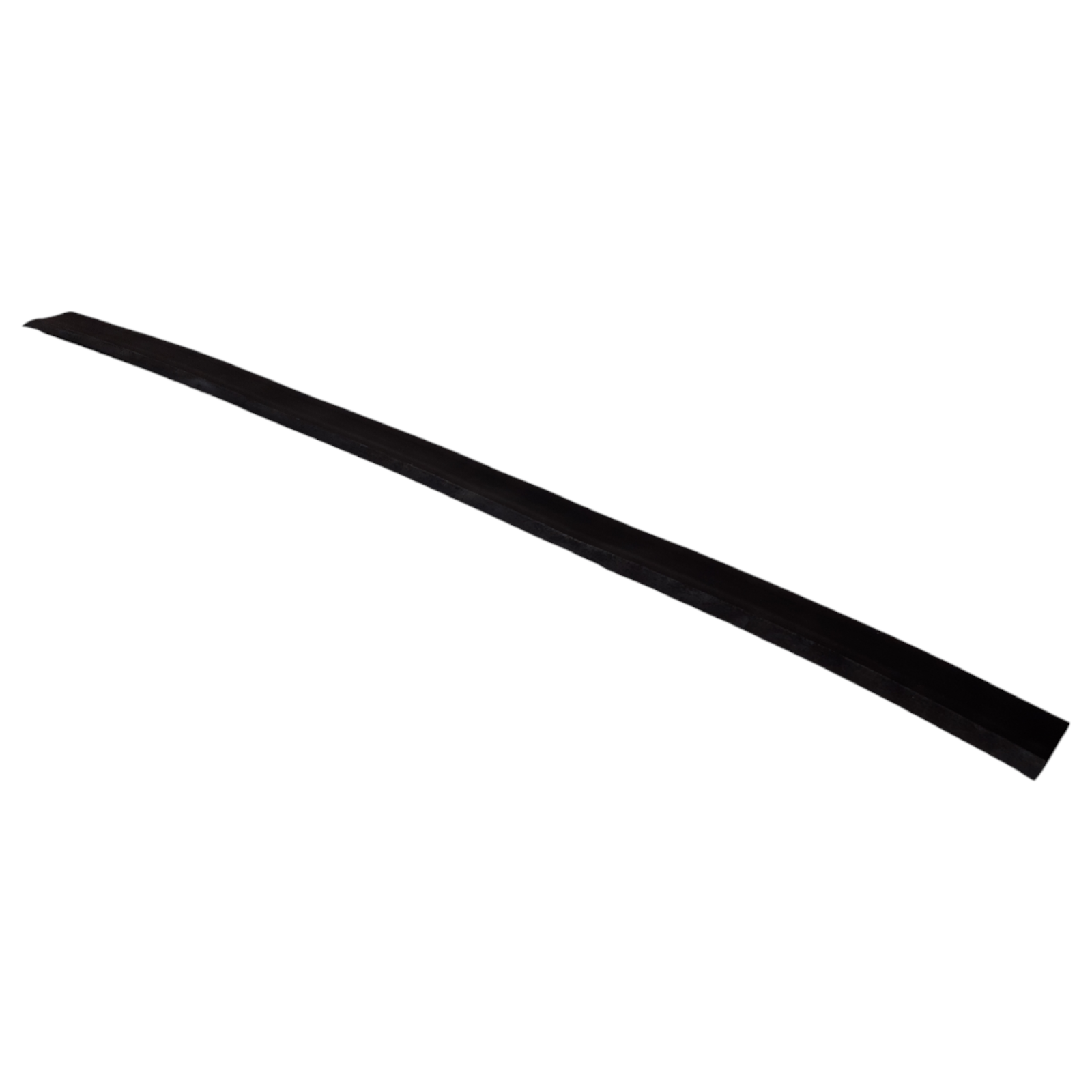 Ford OEM Edge Panoramic sunroof front seal