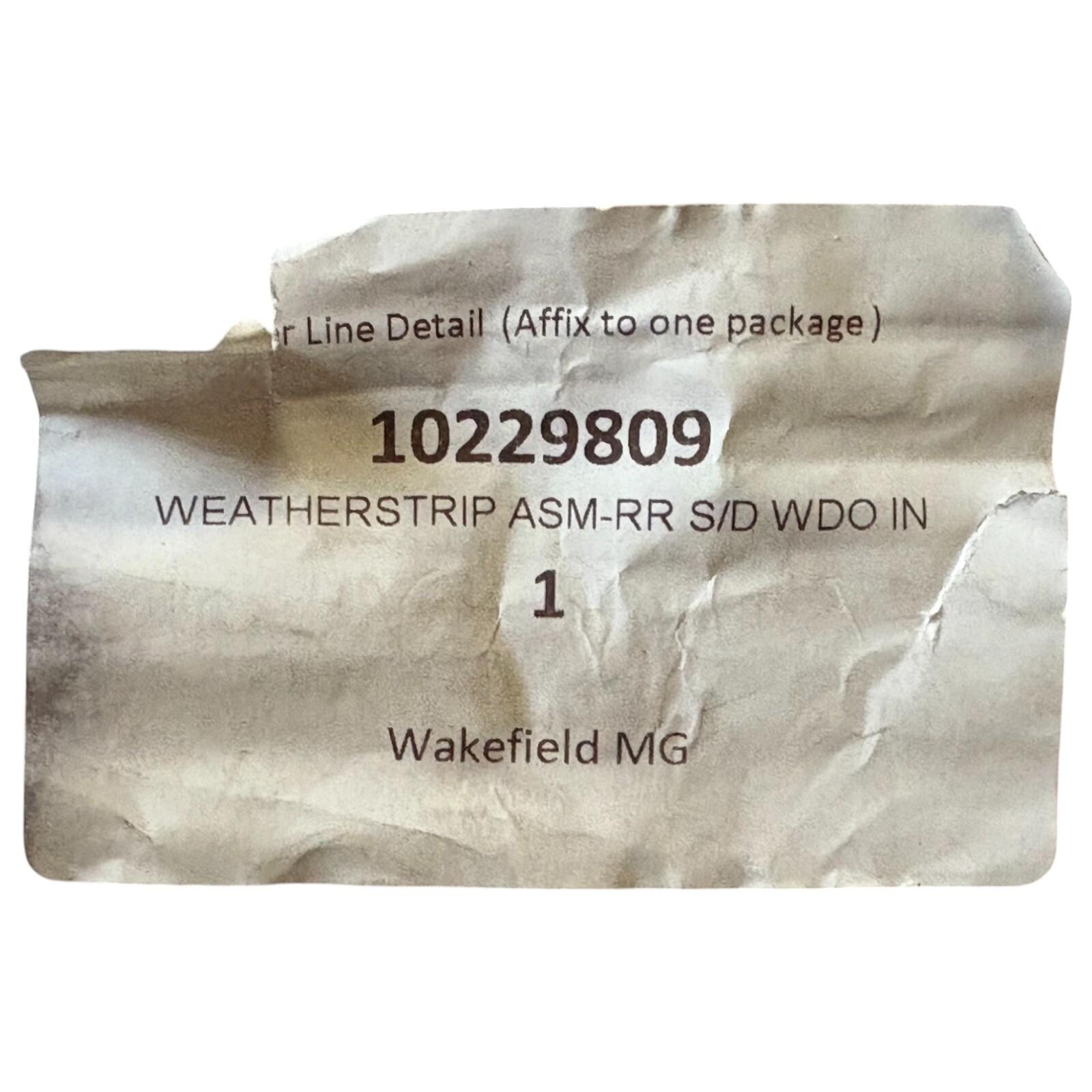 MG ZS RH OS Rear door inner weatherstrip product image