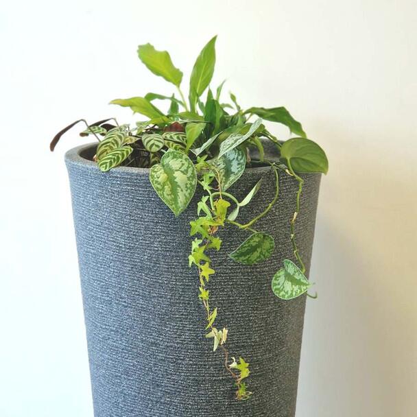 3P Technik Tubo 210L with planted pot lid