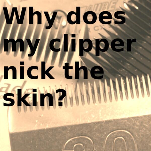 Why does my clipper nick the skin?