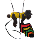 Restraints