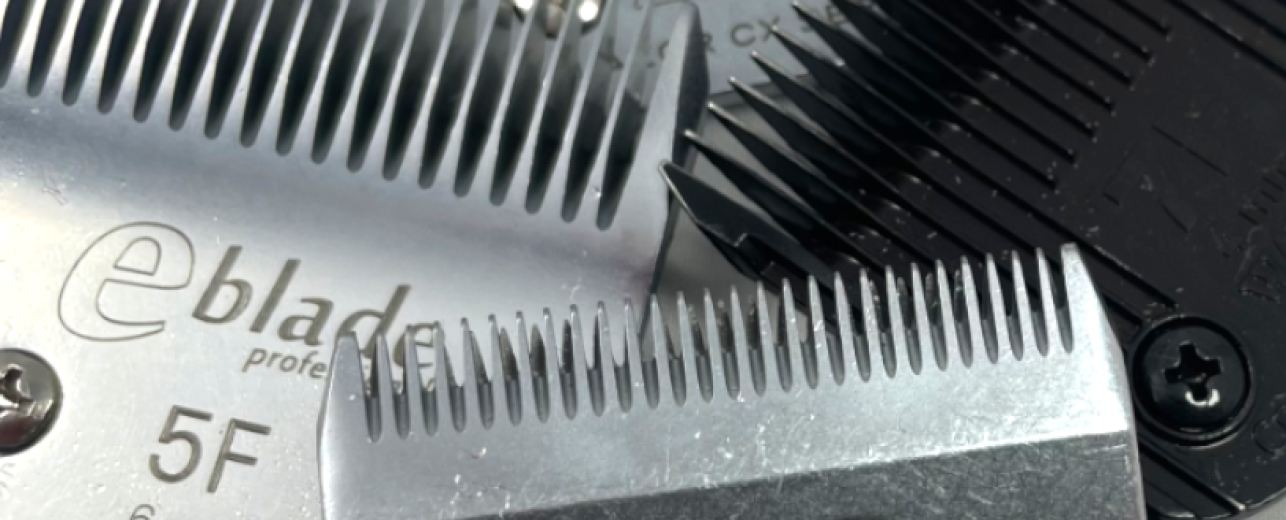 Clipper Blades