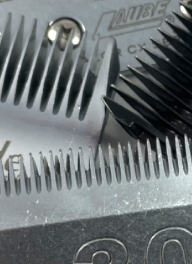Clipper Blades