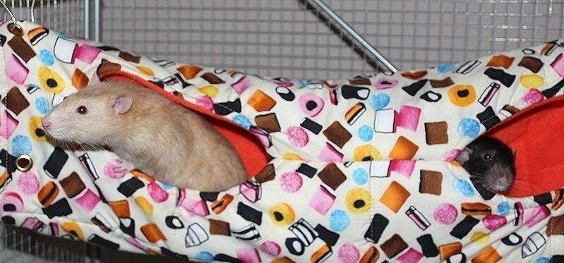 Large fleece hanging tube for rats, chinchillas, degu, small furries, Fuzzbutt XL Choob handmade in the UK
