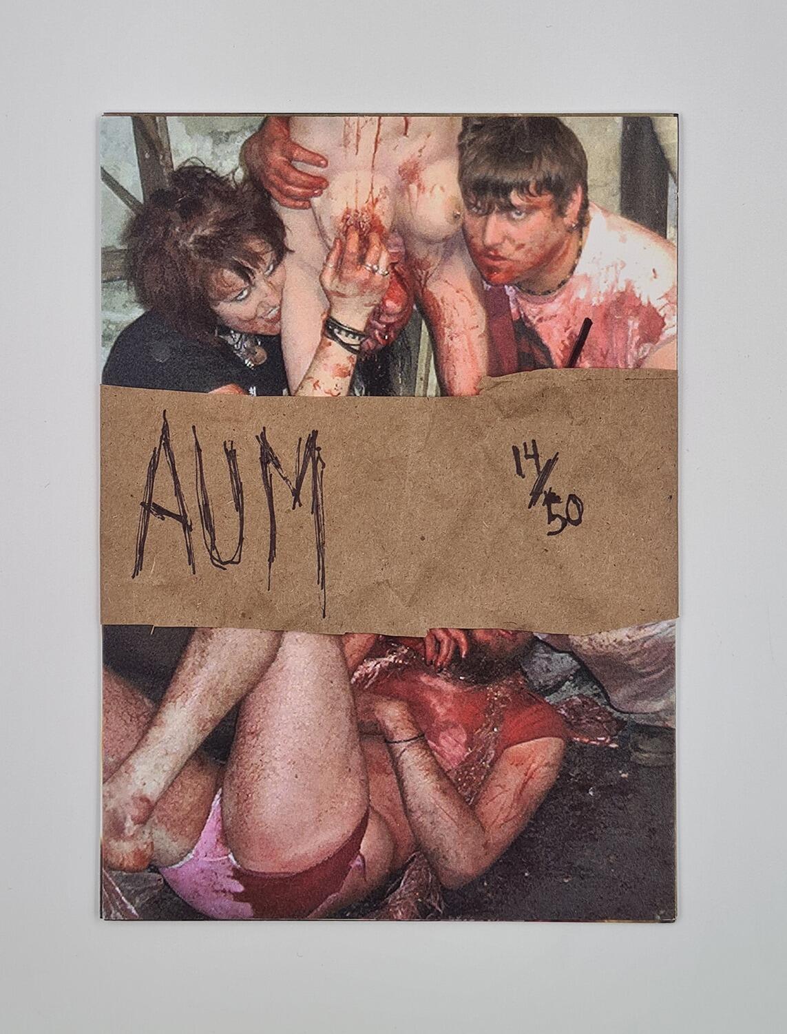 August Underground's Mordum Victim Mask & collectors cards - Limited Edition (50 copies) - Signed by Fred Vogel. - - Item Image 6