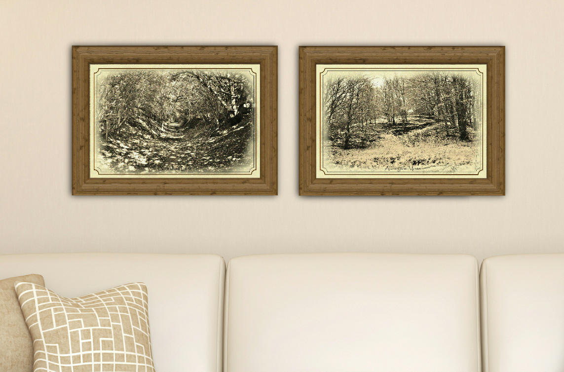 Scenic Seasons, set of two prints