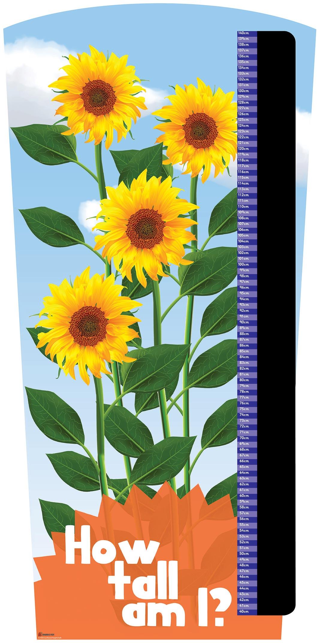 Sunflower Size Chart
