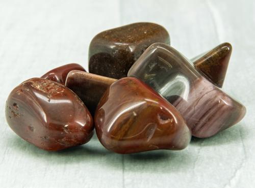 Petrified Wood