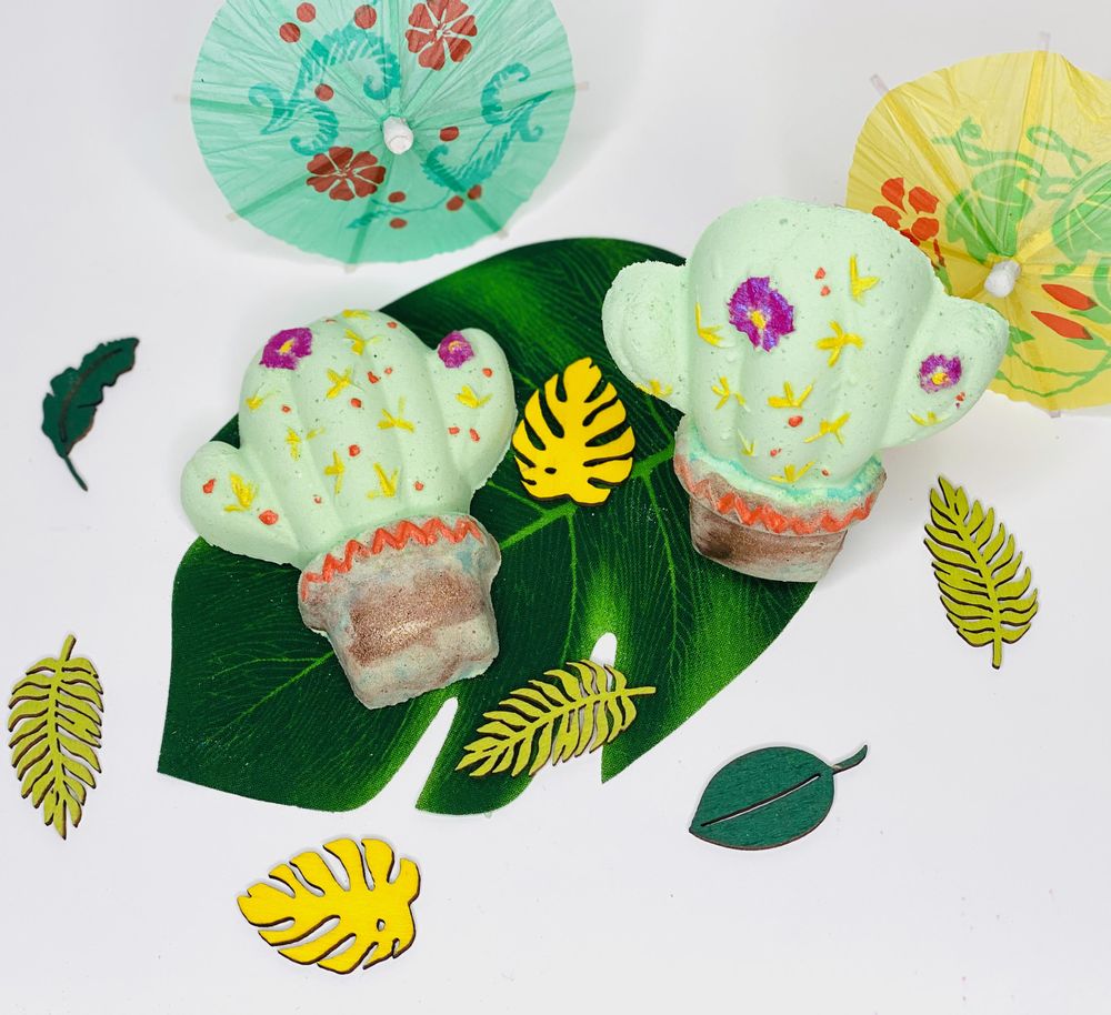 cactus bath bomb uk