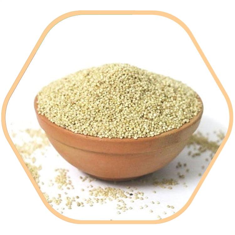 Organic Barnyard Millet