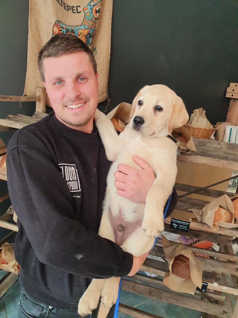 We are DOG FRIENDLY ...