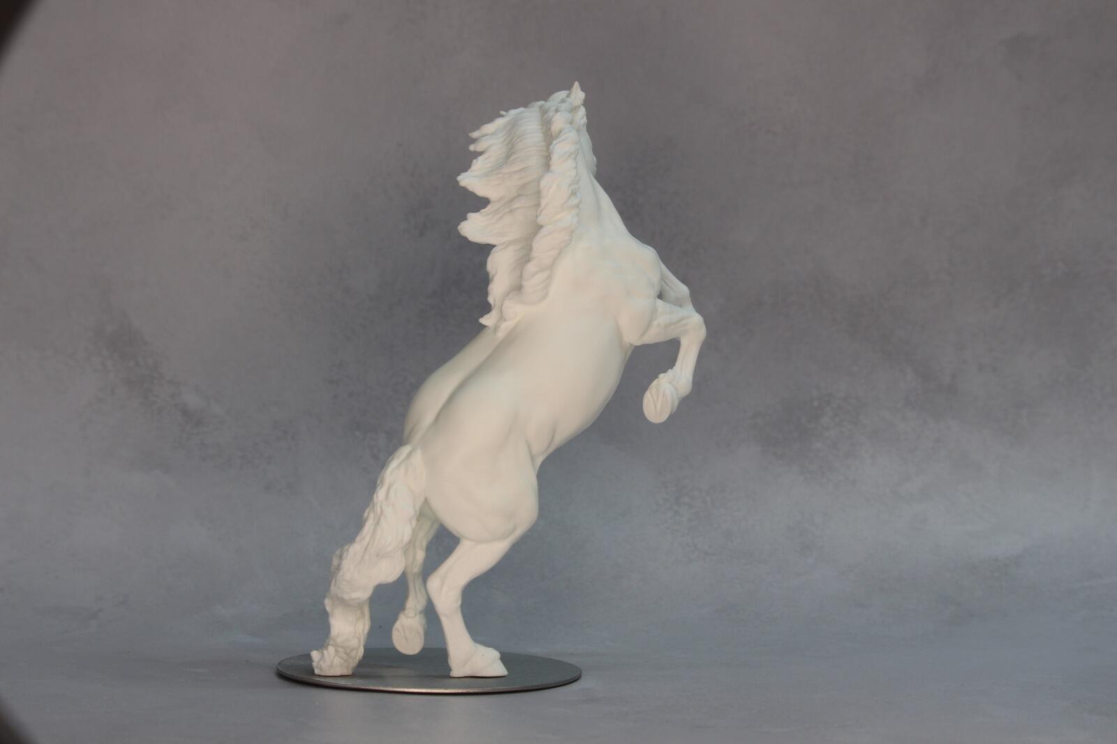 Cast Resin Copy, as Supplied