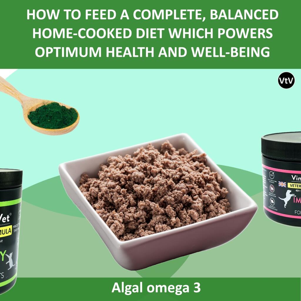How To feed a complete, balanced home-cooked diet which powers optimum health and well-being