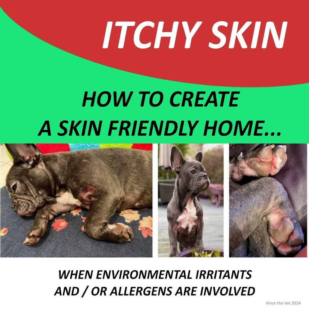 Itchy Skin - How To Create A Skin Friendly Home