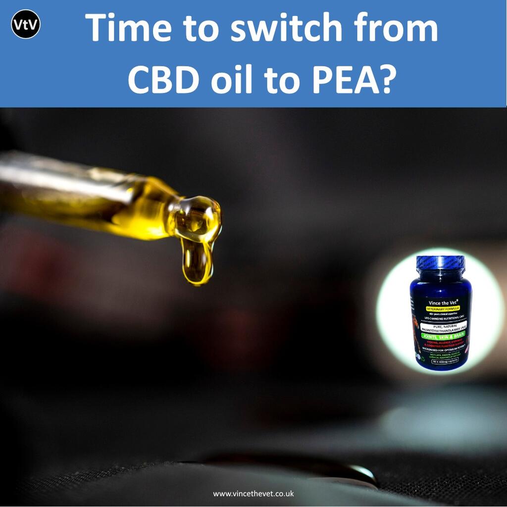 Time to Switch from cbd oil to PEA?