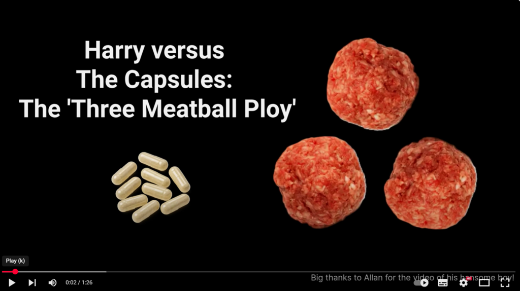 Struggling to give your dog capsules? The 3 meatball ploy works like a dream!