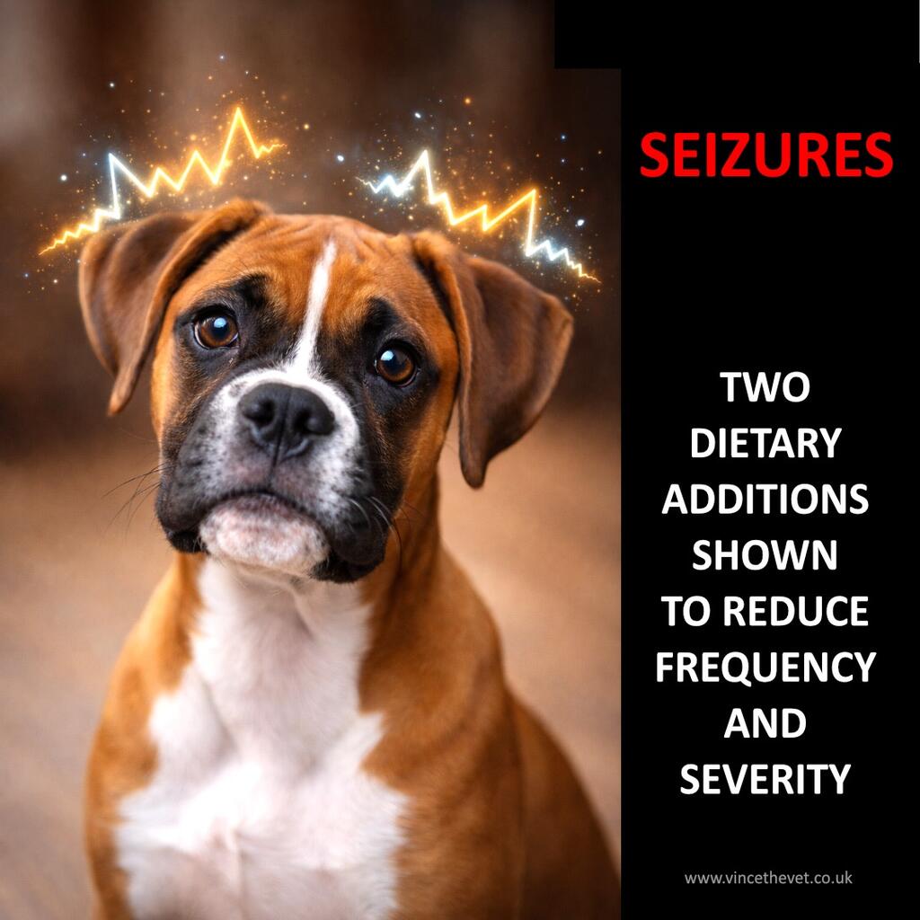 NUTRITIONAL SUPPORT TO HELP REDUCE THE FREQUENCY AND INTENSISTY OF SEIZURES
