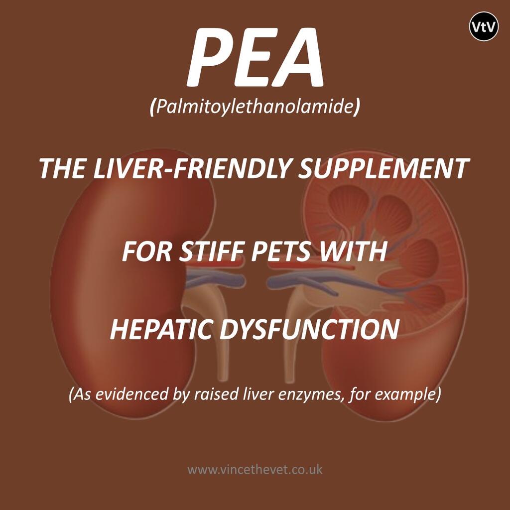 PEA - THE LIVER-FRIENDLY STIFFNESS SUPPLEMENT FOR PETS WITH HEPATIC DYSFUNCTION