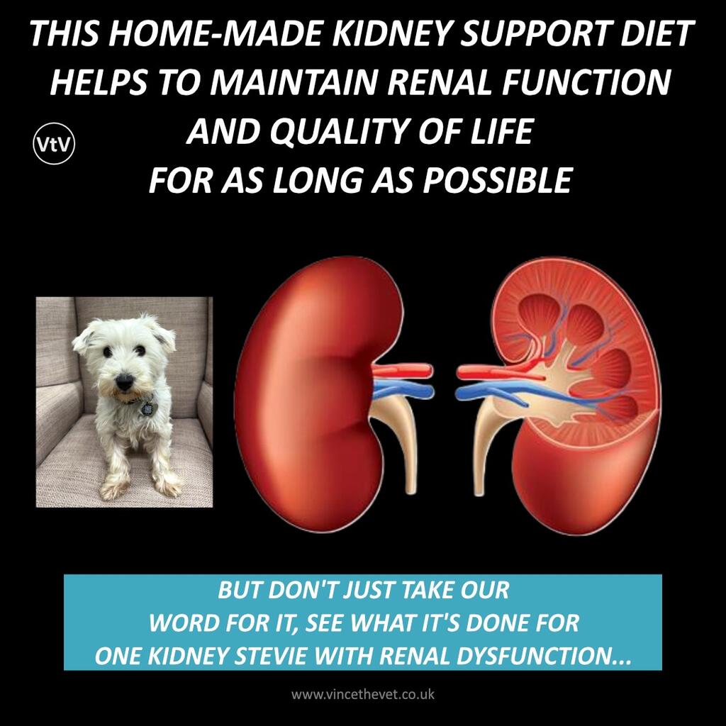 HOME-MADE KIDNEY DIET