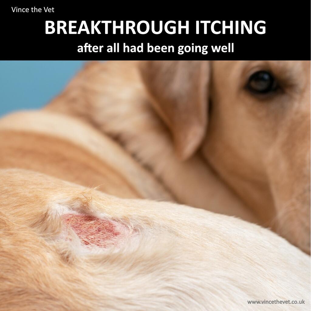 Breakthrough Itching