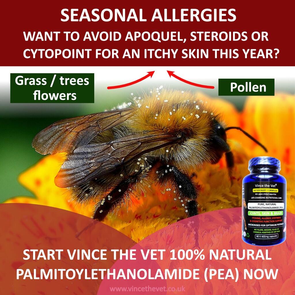 Does your dog suffer from seasonal allergies?