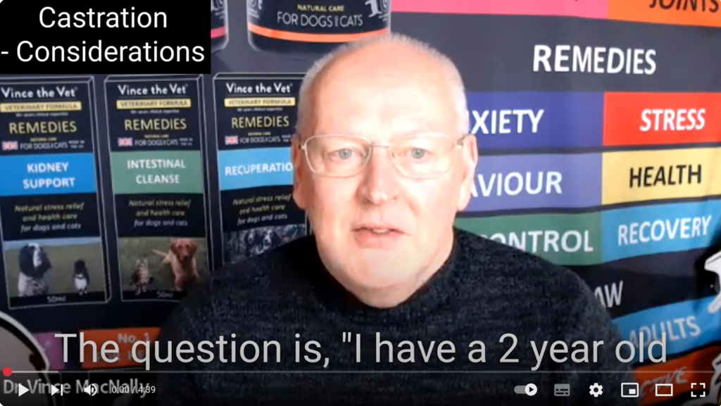 TO CASTRATE OR NOT TO CASTRATE, THAT'S THE QUESTION