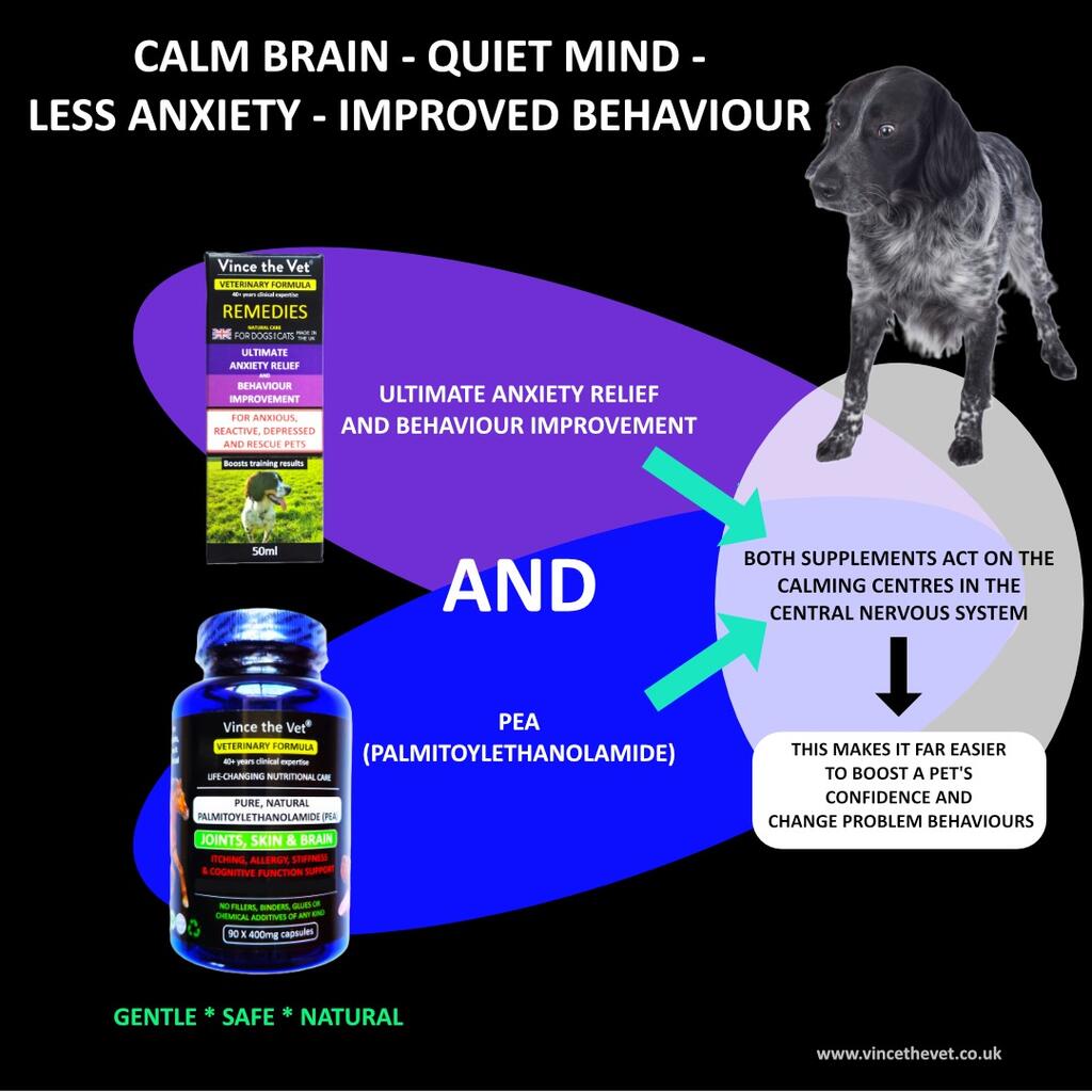 STRUGGLING TO BOOST YOUR PET'S CONFIDENCE or CHANGE PROBLEM BEHAVIOURS?