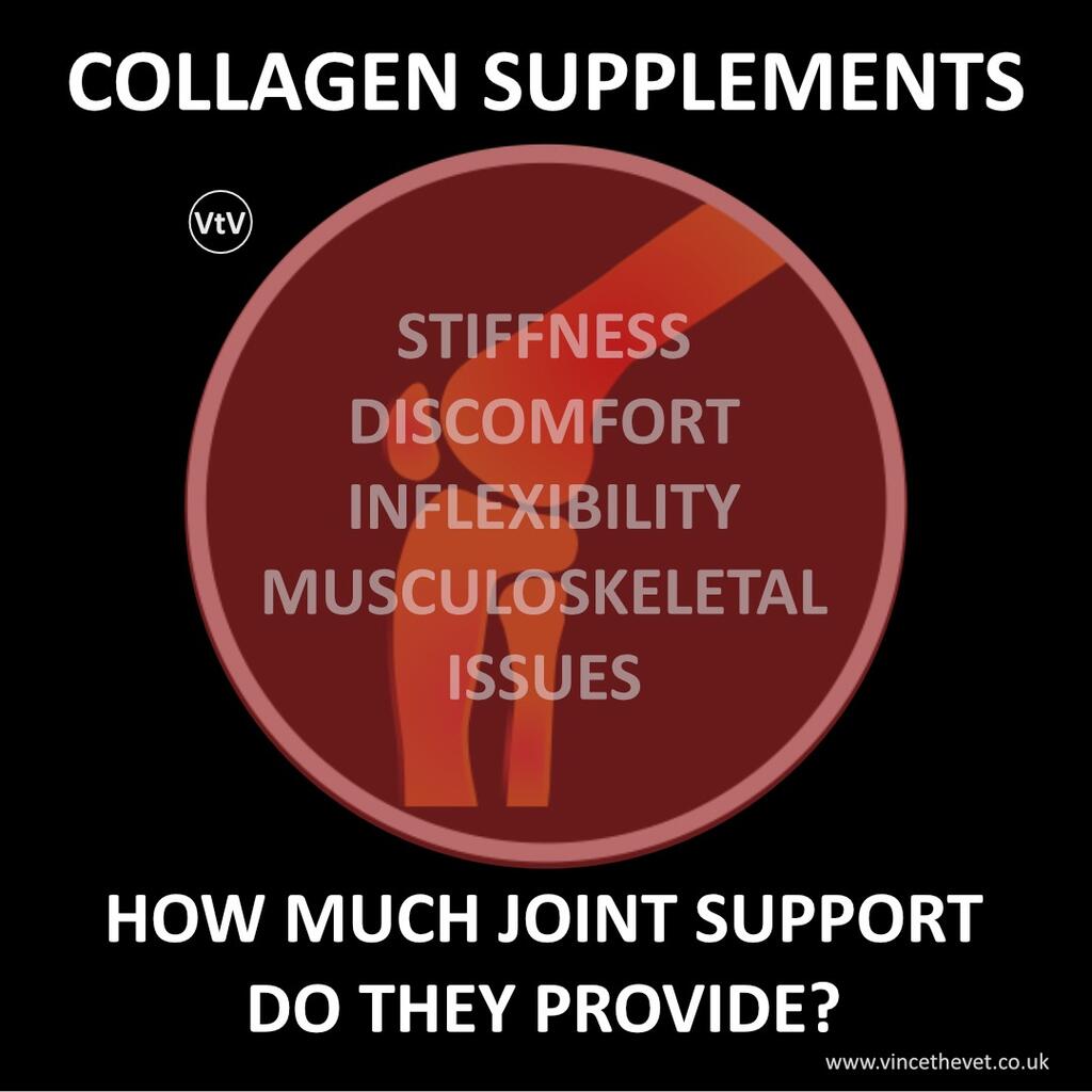 COLLAGEN SUPPLEMENTS - HOW MUCH JOINT SUPPORT DO THEY PROVIDE?