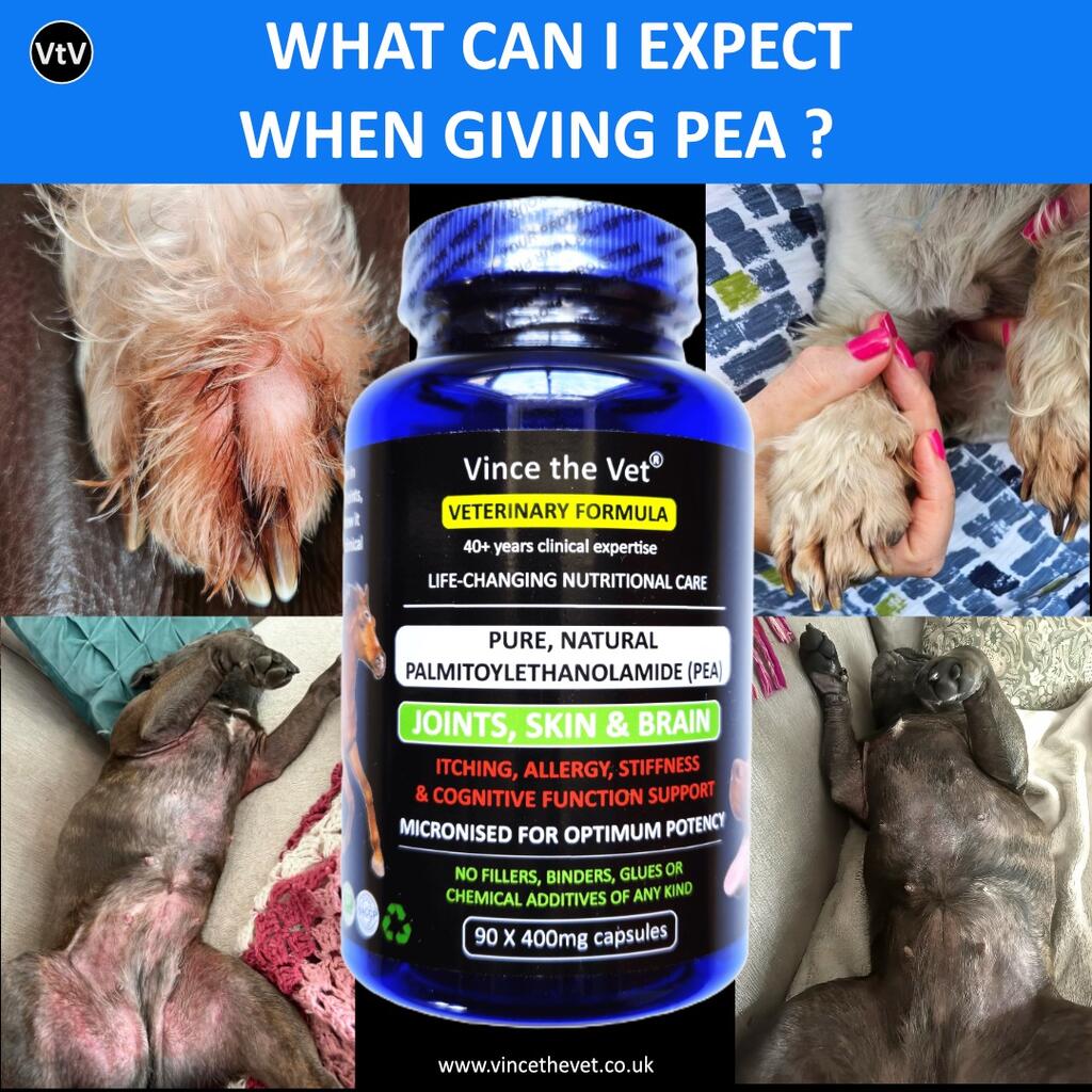 WHAT CAN I EXPECT WHEN GIVING PEA?