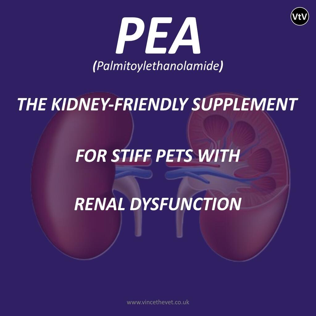 PEA - THE KIDNEY-FRIENDLY STIFFNESS SUPPLEMENT FOR PETS WITH RENAL DYSFUNCTION