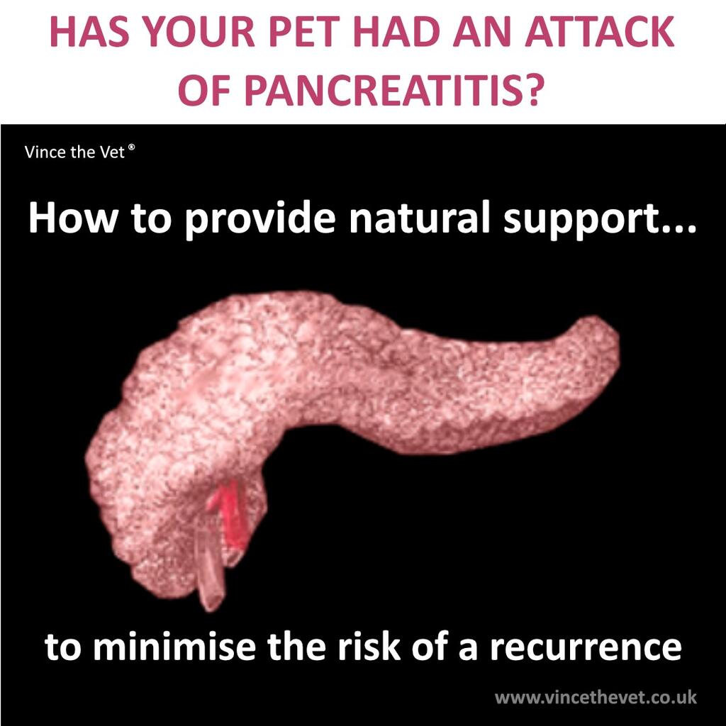 Providing Natural Pancreatic Support