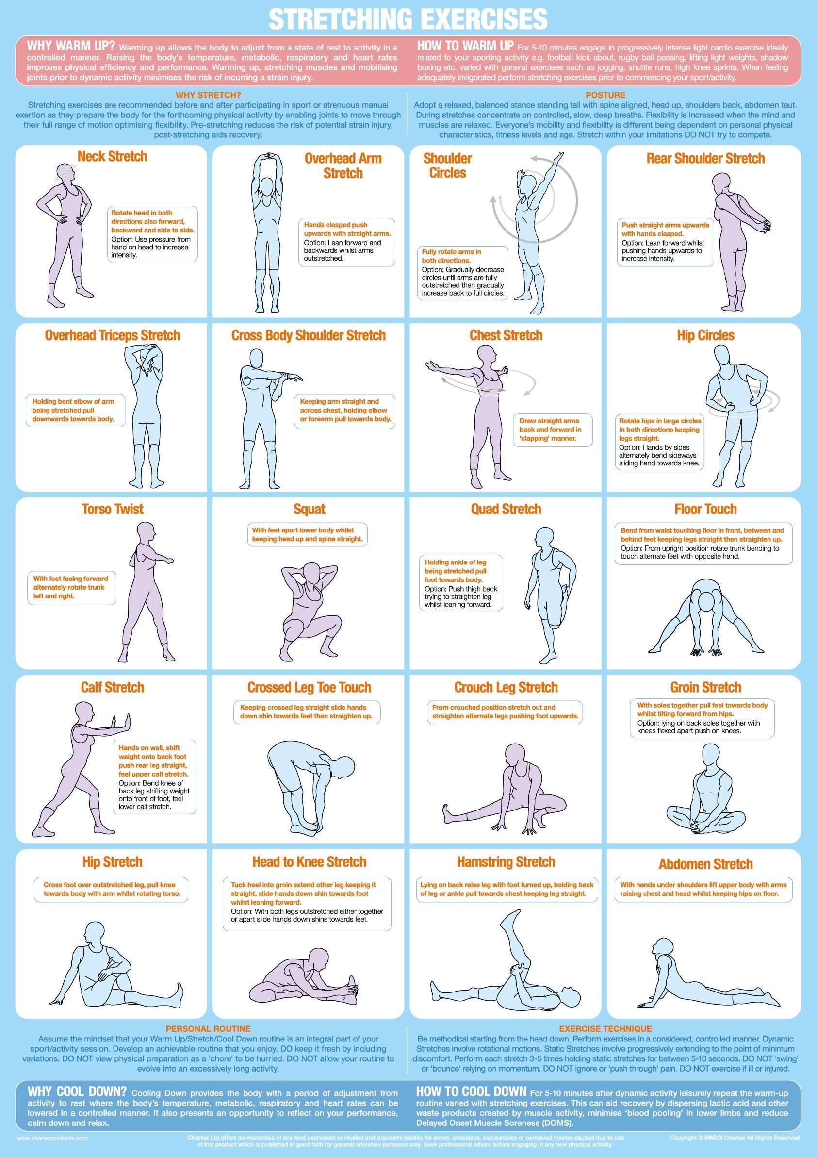 stretching-warm-up-exercise-poster