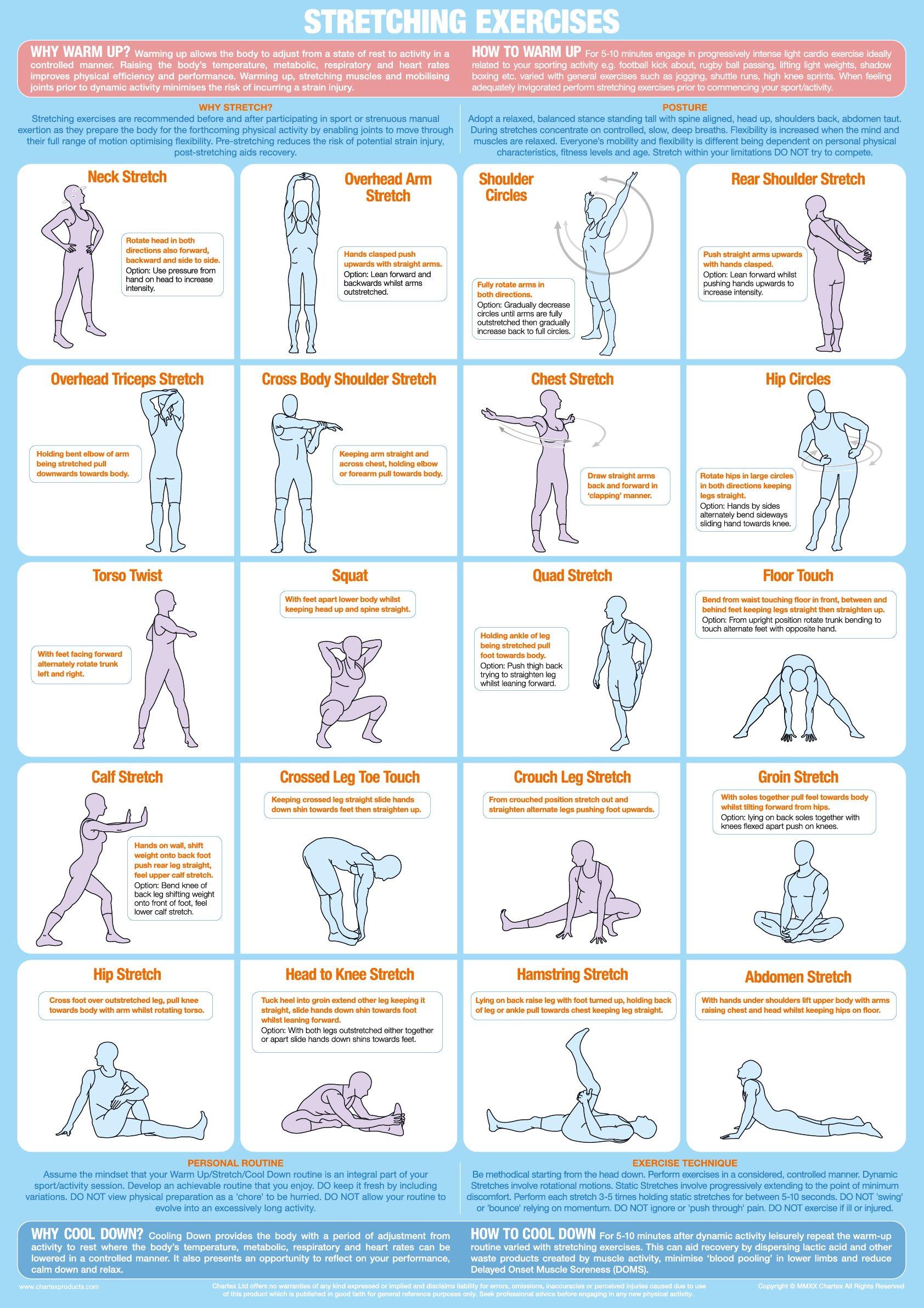 Printable Stretching Exercises For Seniors