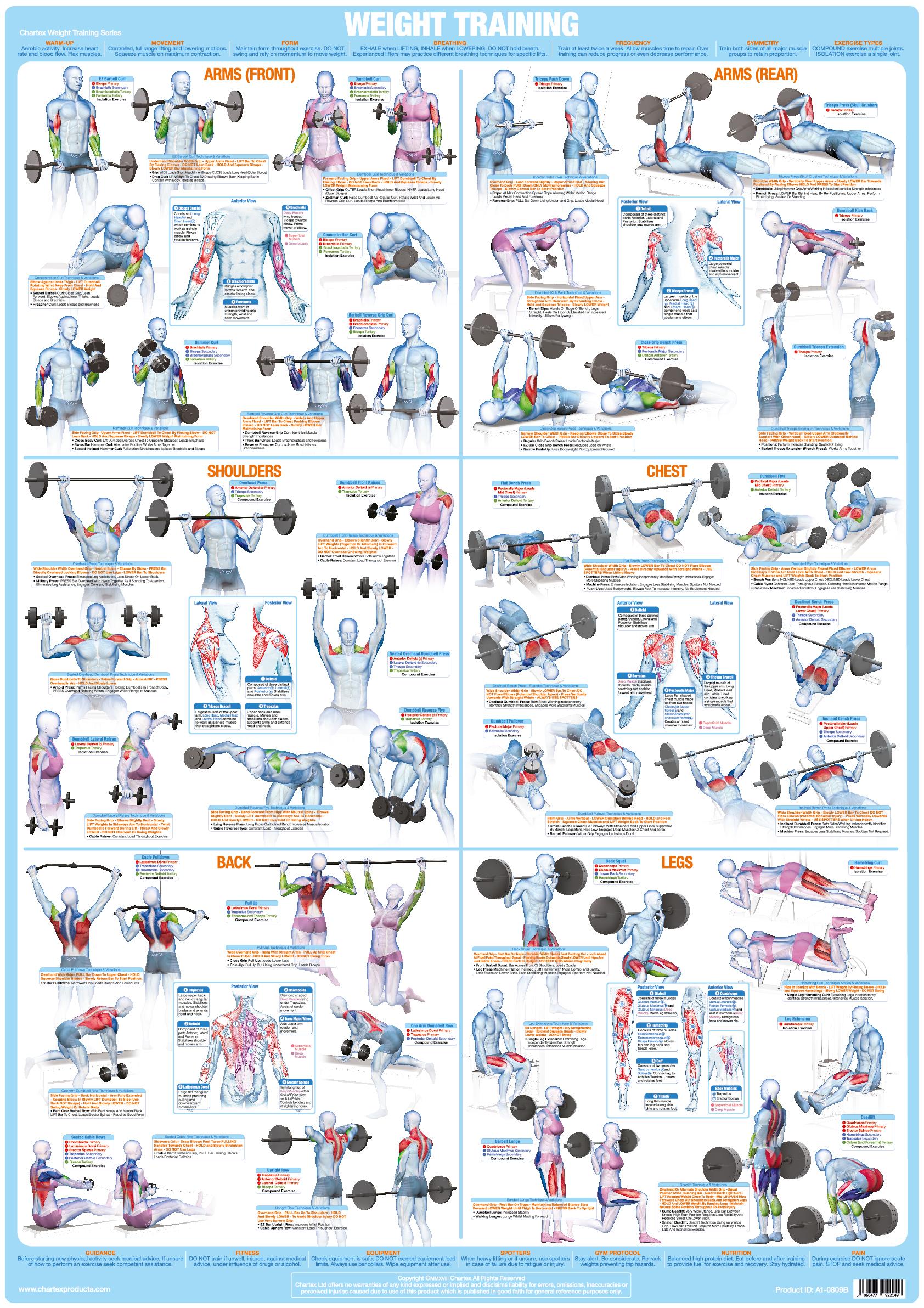 Free weight lifting posters