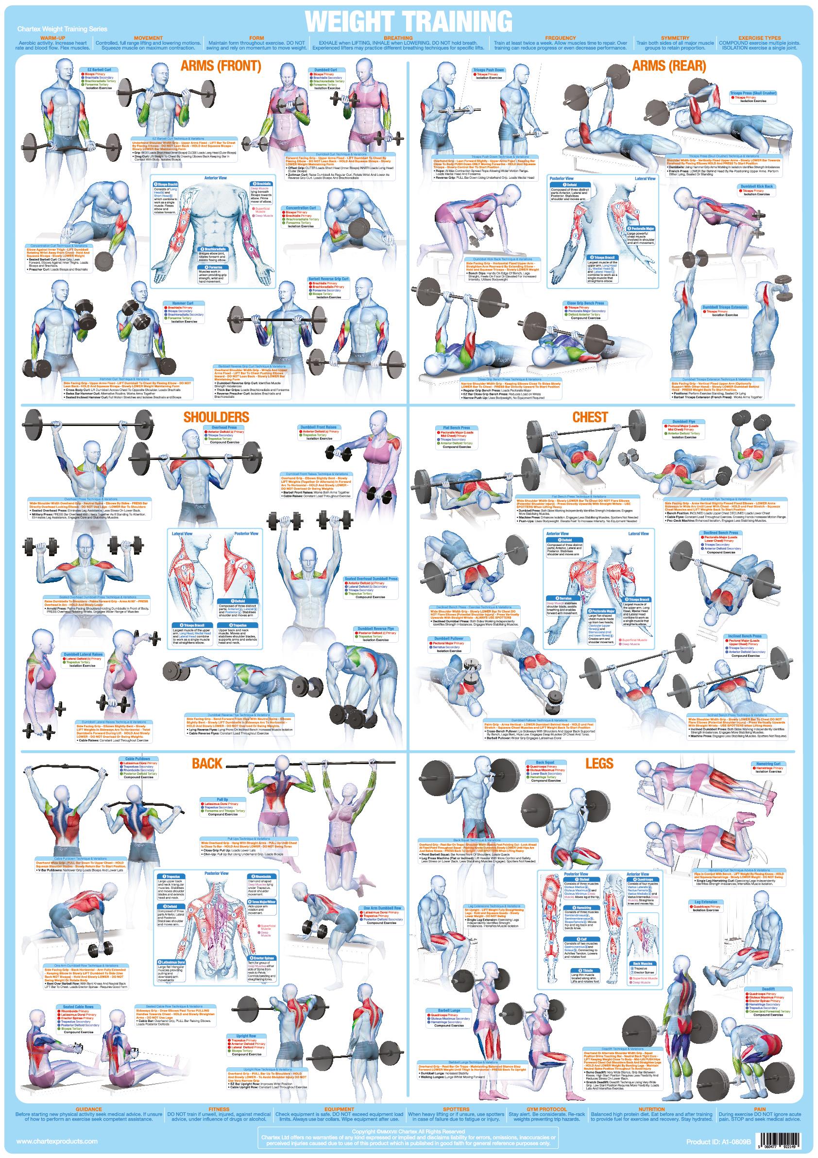 Printable Exercise Chart Home Gym