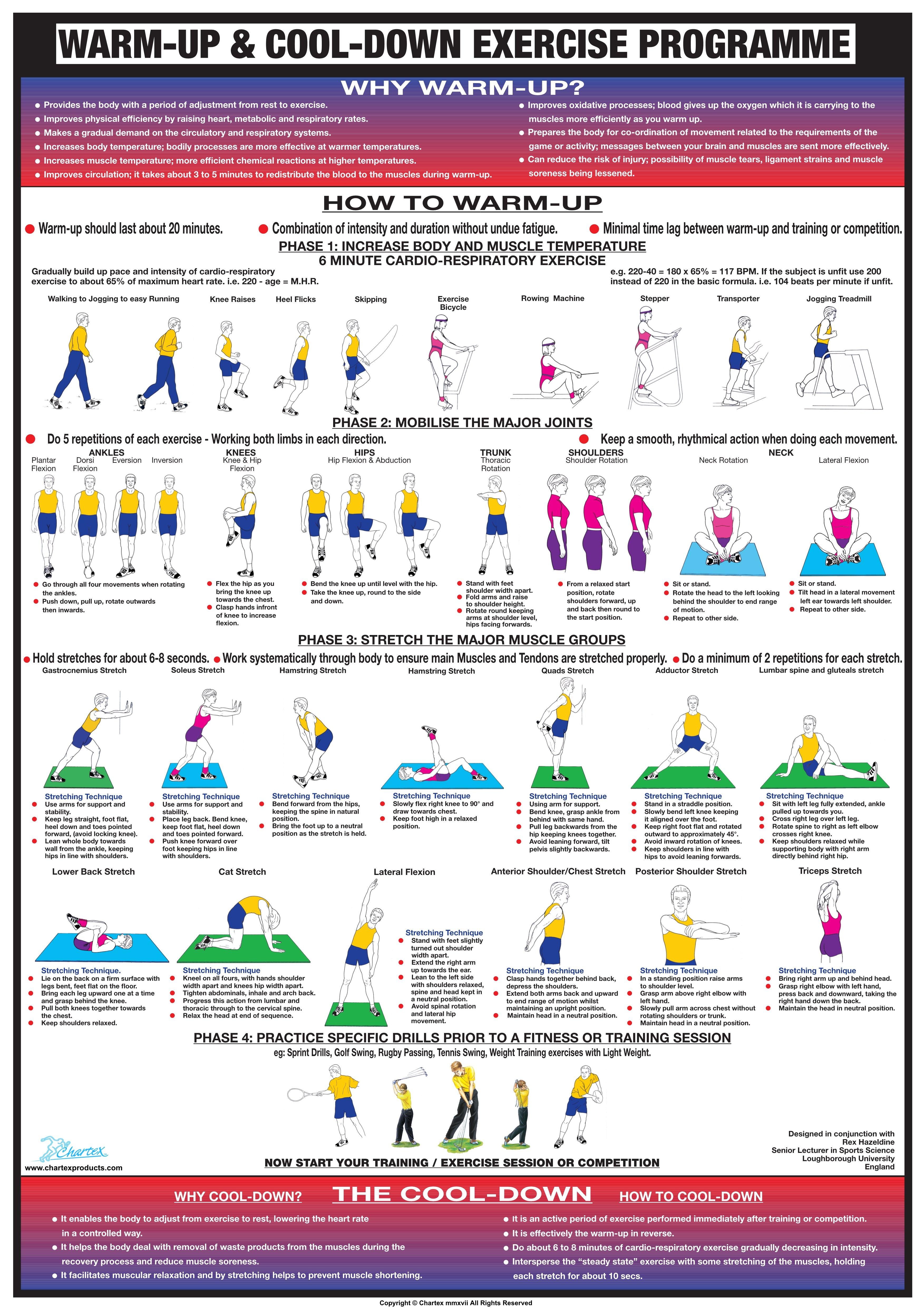 Warm Up Cool Down Exercise Poster