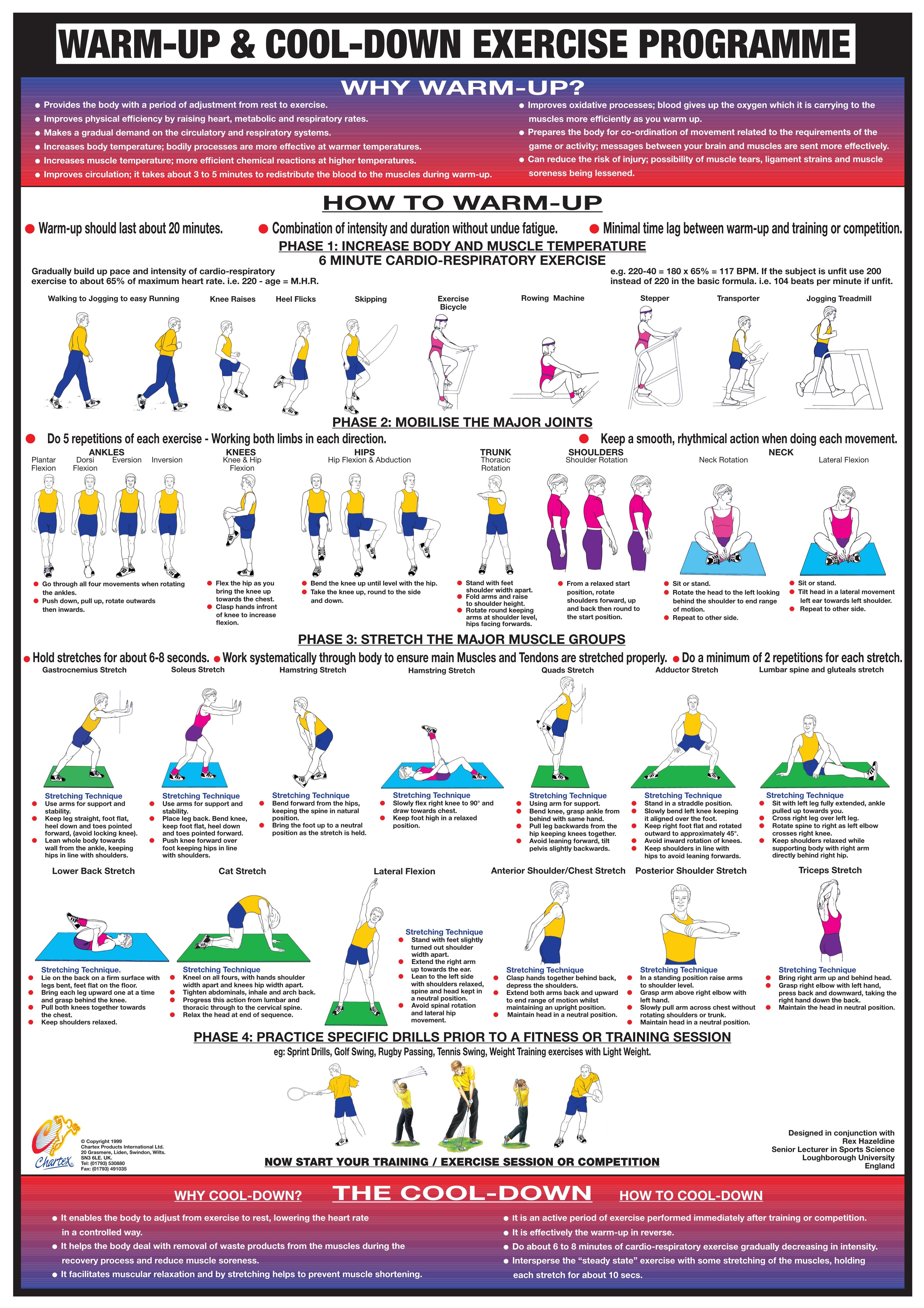Warm Up Cool Down Poster
