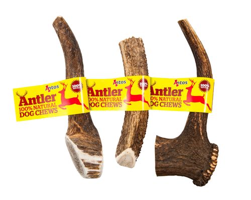 Antos Antler Dog Chew