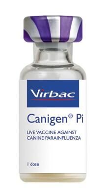 Canigen Pi Suspension For Injection Dog 10d