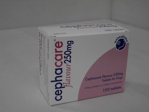 Cephacare Flav Tablets 250mg Dog