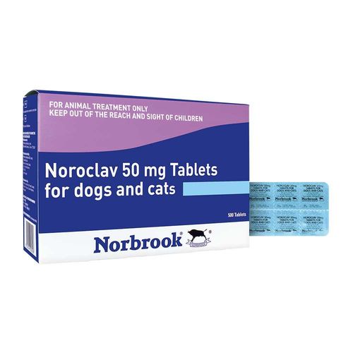 Noroclav Tablets 50mg Blister Pack of — Each