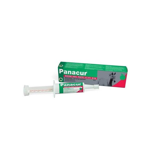 Panacur Paste Equine 24g