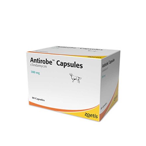Antirobe Capsules 300mg Blister